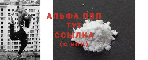 гашик Вязьма