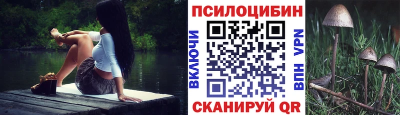 Псилоцибиновые грибы прущие грибы  Купить где  Унеча 